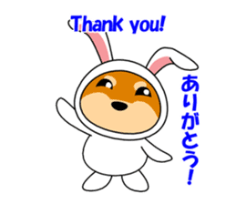 Mameshiba rabbit sticker #2077858
