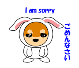 Mameshiba rabbit sticker #2077860