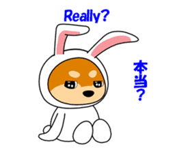 Mameshiba rabbit sticker #2077862