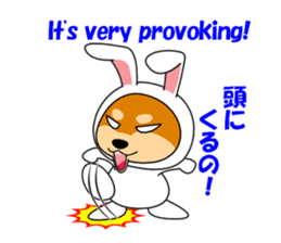 Mameshiba rabbit sticker #2077864