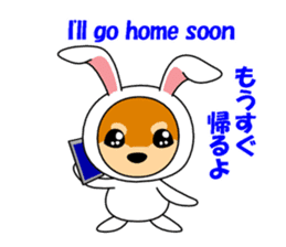 Mameshiba rabbit sticker #2077870