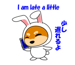 Mameshiba rabbit sticker #2077871