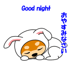 Mameshiba rabbit sticker #2077873