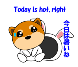 Mameshiba rabbit sticker #2077874