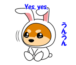 Mameshiba rabbit sticker #2077876