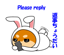 Mameshiba rabbit sticker #2077877