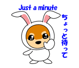 Mameshiba rabbit sticker #2077880