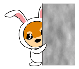 Mameshiba rabbit sticker #2077882