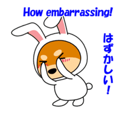 Mameshiba rabbit sticker #2077884