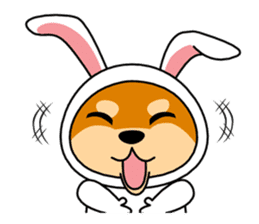 Mameshiba rabbit sticker #2077887