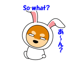 Mameshiba rabbit sticker #2077888
