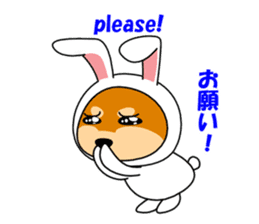 Mameshiba rabbit sticker #2077890