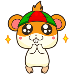 Bola, the funny and happy hamster