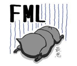 English internet slang SAMURAI,NINJA sticker #2081977