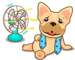 I'm Hoyo. sticker #2083003