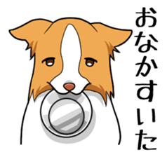 Border collie Sticker sticker #2083642