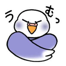 "Daily Budgerigar" With bird 04 sticker #2085342