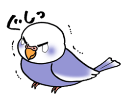 "Daily Budgerigar" With bird 04 sticker #2085347