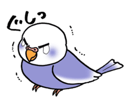 "Daily Budgerigar" With bird 04 sticker #2085347
