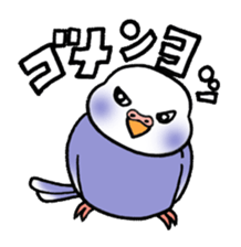 "Daily Budgerigar" With bird 04 sticker #2085348