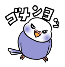 "Daily Budgerigar" With bird 04 sticker #2085348
