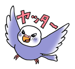 "Daily Budgerigar" With bird 04 sticker #2085352