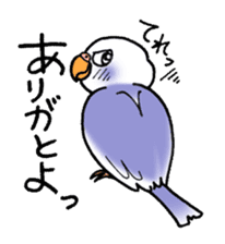 "Daily Budgerigar" With bird 04 sticker #2085362