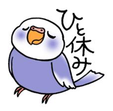 "Daily Budgerigar" With bird 04 sticker #2085363