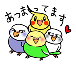 "Daily Budgerigar" With bird 04 sticker #2085367