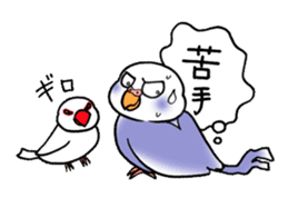 "Daily Budgerigar" With bird 04 sticker #2085369