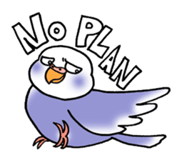 "Daily Budgerigar" With bird 04 sticker #2085372