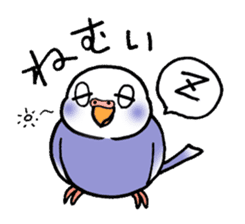 "Daily Budgerigar" With bird 04 sticker #2085375