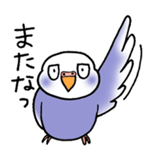 "Daily Budgerigar" With bird 04 sticker #2085380