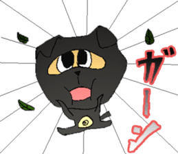 What Ya raccoon sticker #2086774