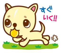 Puppy Dog! HAPPY NIKO! sticker #2087359
