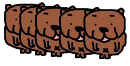 SHIBAKEN sticker #2088988