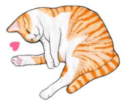 Lovely Cat Sticker sticker #2090301