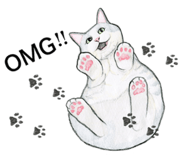Lovely Cat Sticker sticker #2090311
