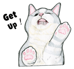 Lovely Cat Sticker sticker #2090315