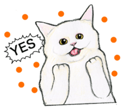 Lovely Cat Sticker sticker #2090319