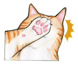 Lovely Cat Sticker sticker #2090321
