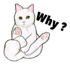 Lovely Cat Sticker sticker #2090326