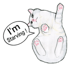 Lovely Cat Sticker sticker #2090328
