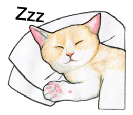 Lovely Cat Sticker sticker #2090329