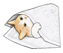 Lovely Cat Sticker sticker #2090332