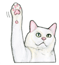 Lovely Cat Sticker sticker #2090333