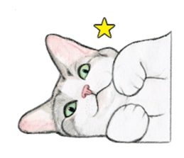 Lovely Cat Sticker sticker #2090336