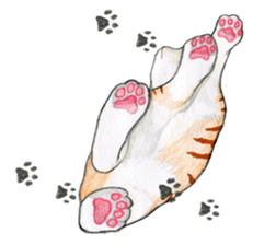 Lovely Cat Sticker sticker #2090339