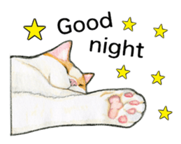 Lovely Cat Sticker sticker #2090340