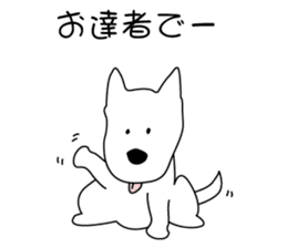 It is a kishu dog sticker #2090604